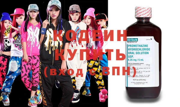 хмурый Алзамай