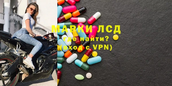хмурый Алзамай