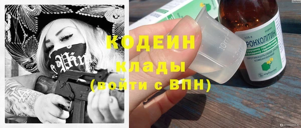 хмурый Алзамай
