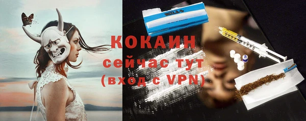 мяу мяу мука Абаза