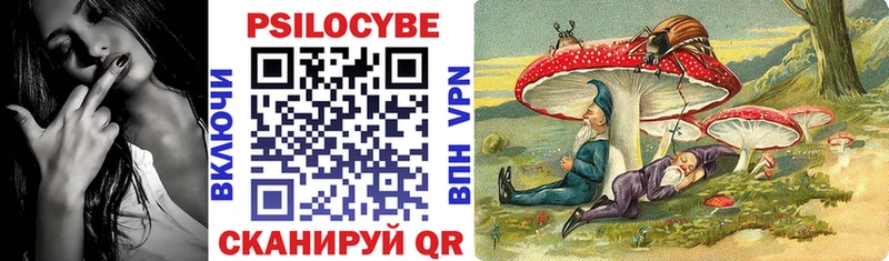 магазин продажи наркотиков  Сусуман  hydra   Псилоцибиновые грибы ЛСД 